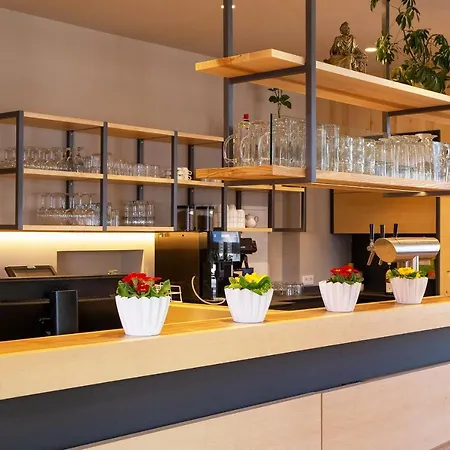 Rebstock Stetten (Bodensee)