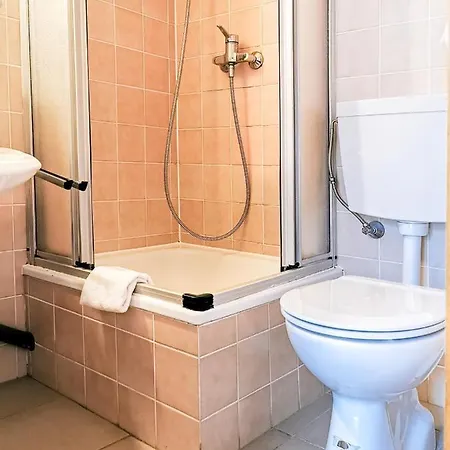 Rebstock Stetten (Bodensee)