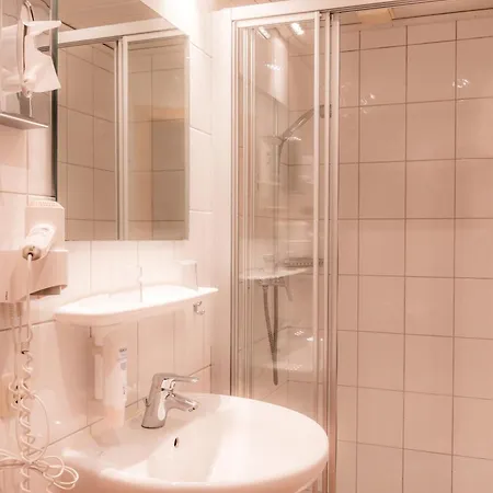 Rebstock Stetten (Bodensee)